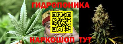 гашик Гагарин