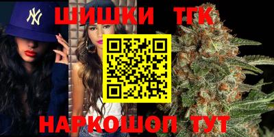 гашик Гагарин