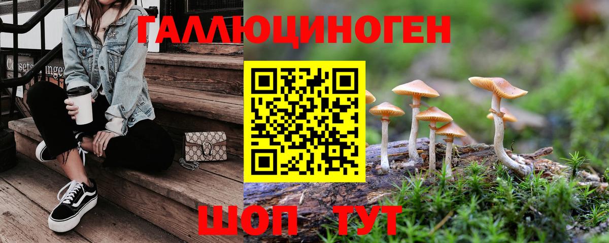 Ялуторовск  цены   Вход с VPN  Псилоцибиновые грибы мухоморы 